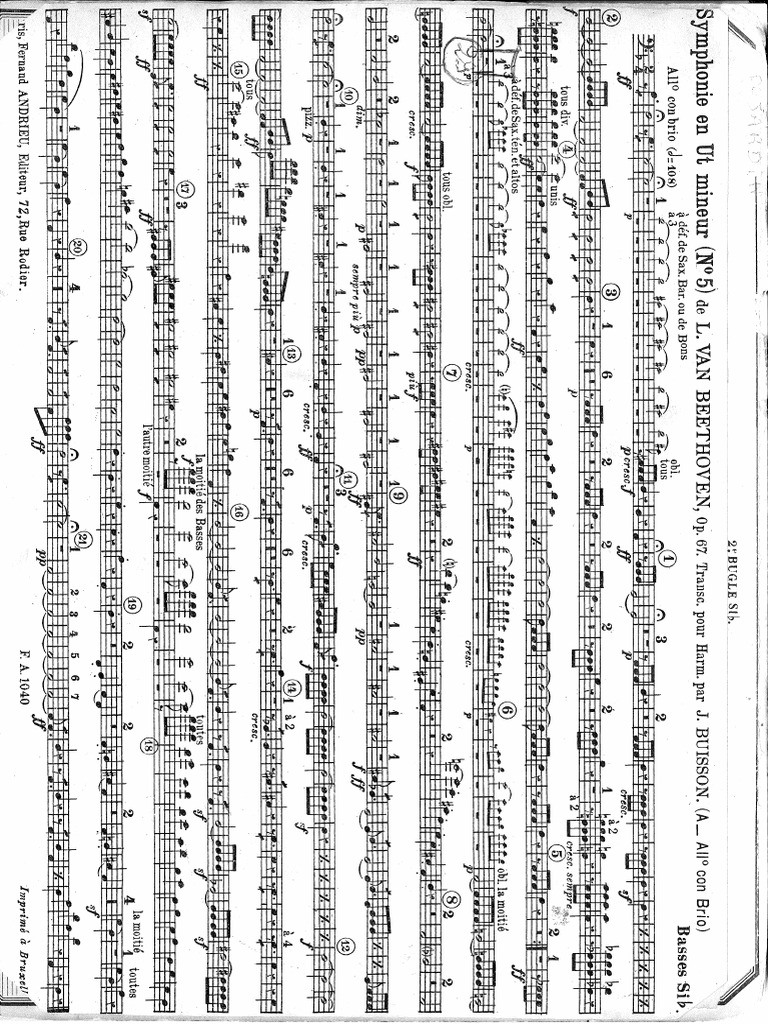 Basic Bottom - Symphonie