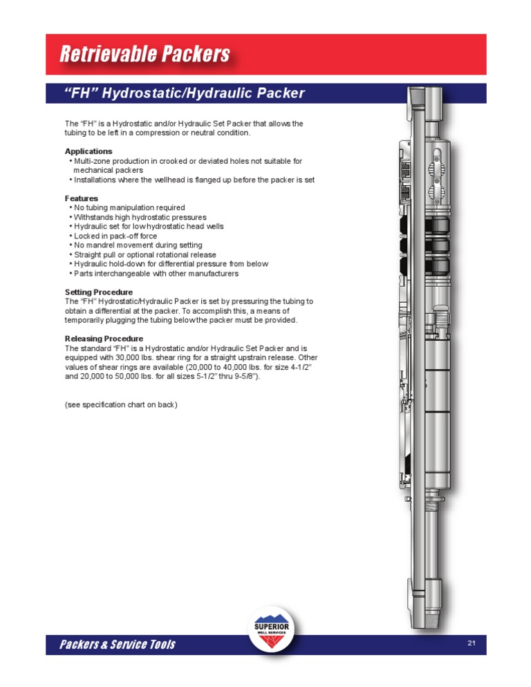 PST 21 FH Hydro Hydraulic Packer | PDF | Home & Garden