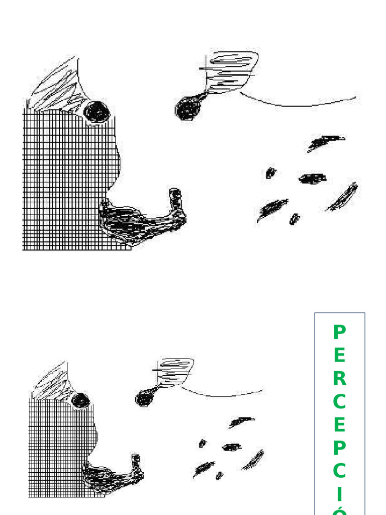 ppt4-percepci-n-2024-2-pdf