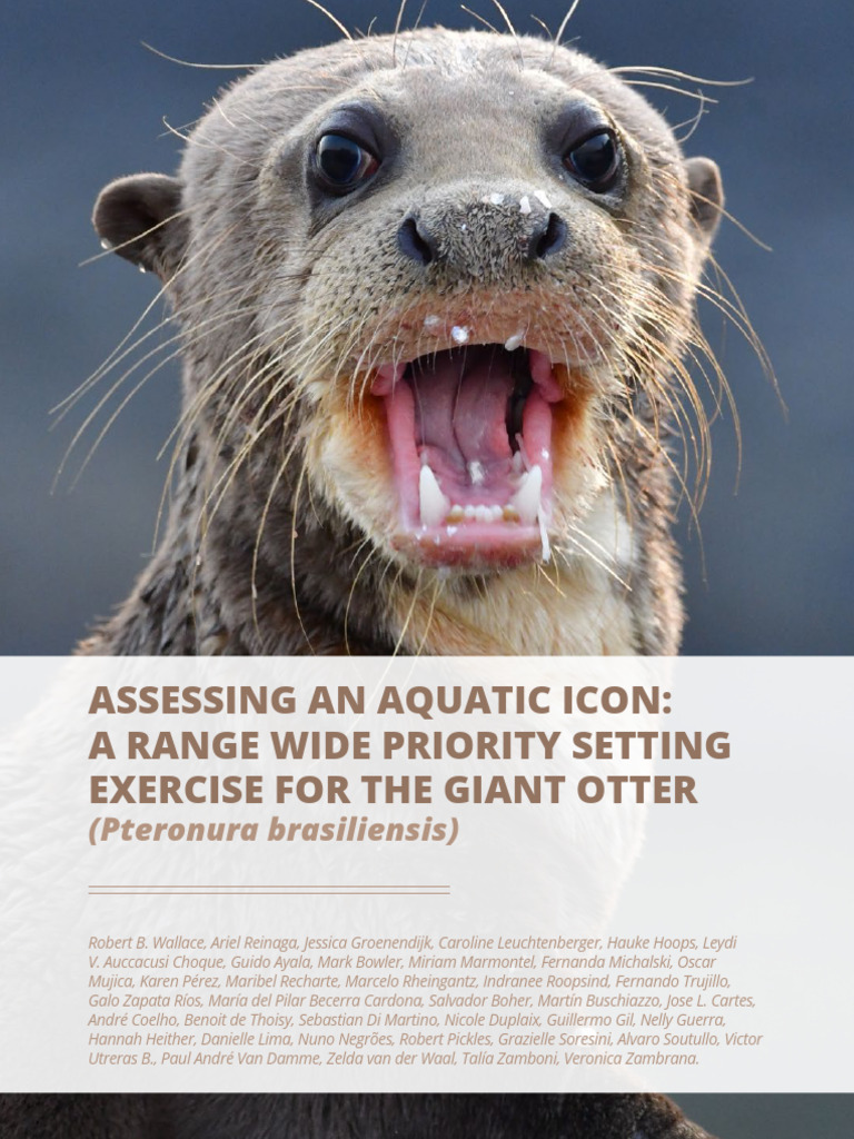 Giant Otter - 29sep24 | PDF