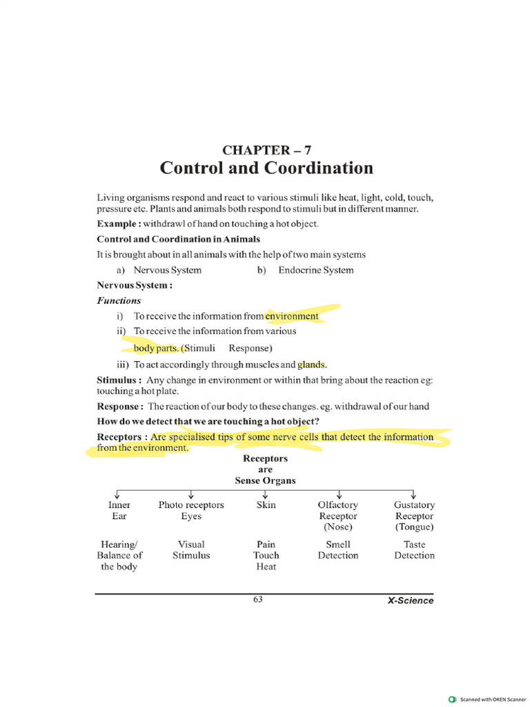 Science 7 | PDF