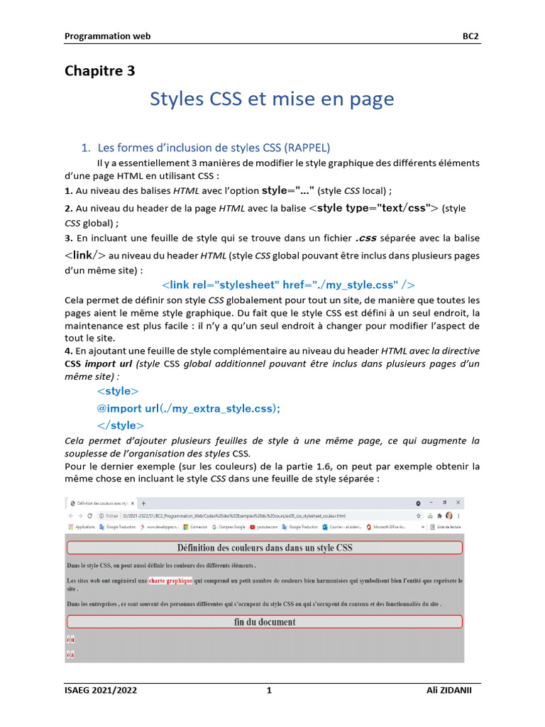 Inclusion des styles CSS en HTML | PDF | Langage de balisage | Affaires