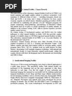 New Microsoft Word Document