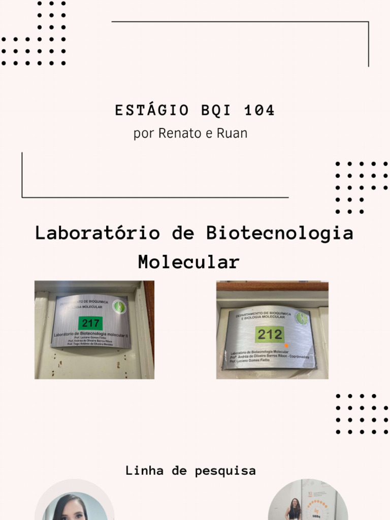 Apresentação BQI 104 - Compressed | PDF