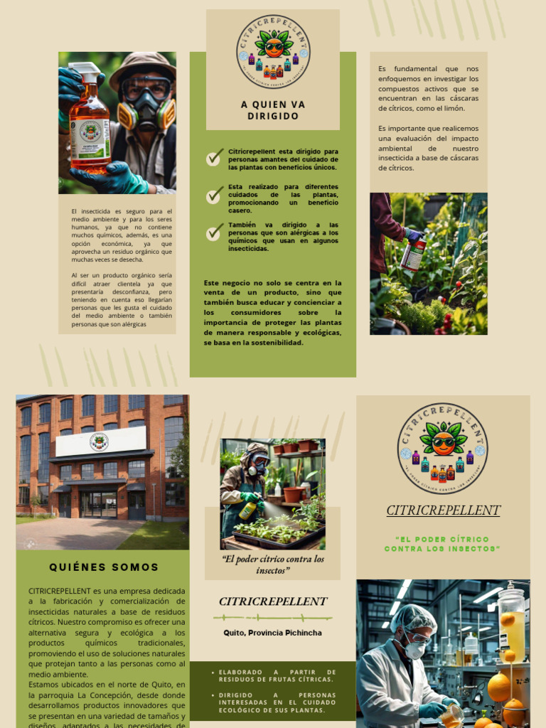 Folleto Tríptico Proyecto Alimentación Sostenible Fotográfico Verde ...