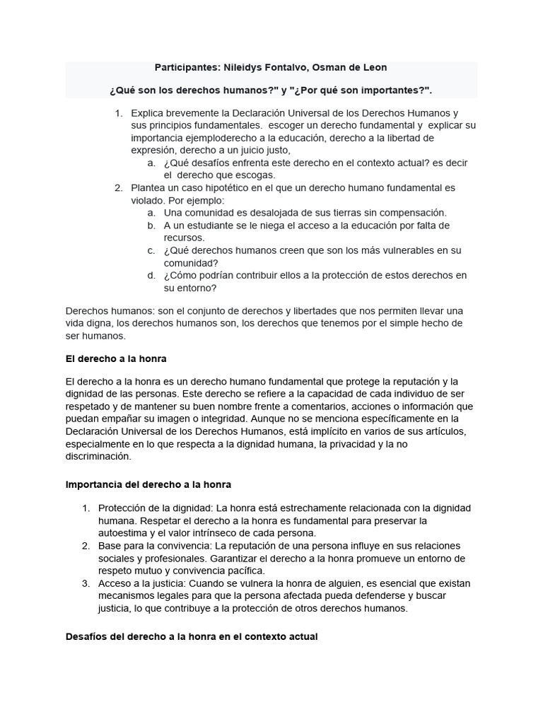 Derecho A La Honra | PDF