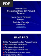 Download padi-palawija  1 by SF Bachruddin Syarbin SN77526949 doc pdf