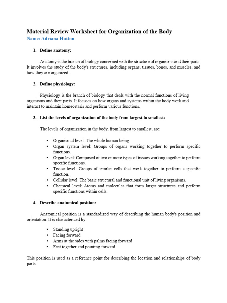 1 Material Review Worksheet Organization of The Body | PDF