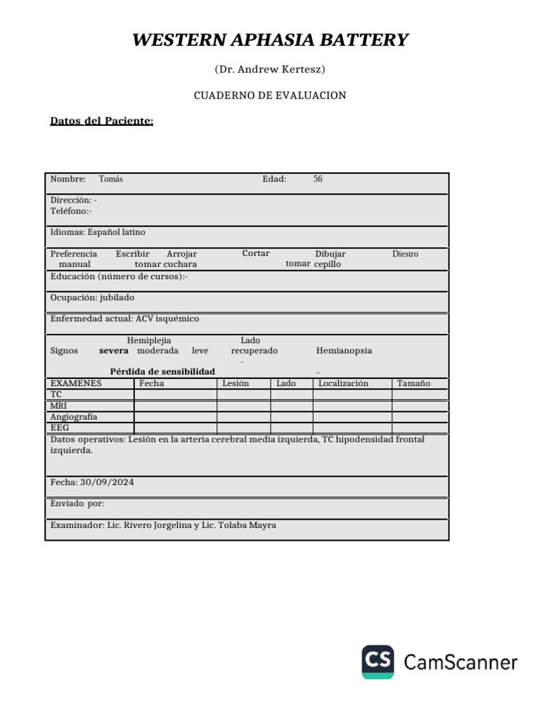 Western Aphasia Battery | PDF