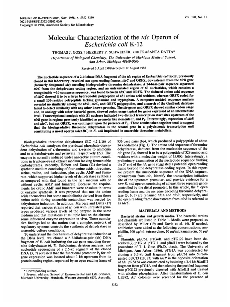 Goss Et Al 1988 Molecular Characterization of The TDC Operon of ...
