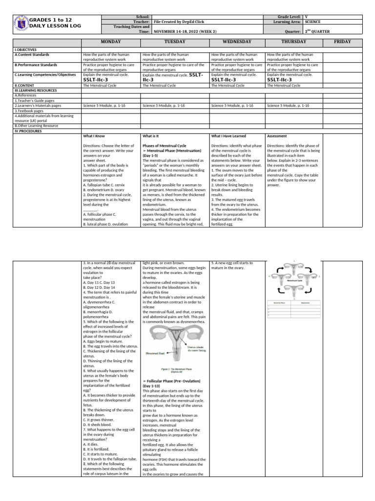 Weekly Science Lesson on Menstrual Cycle | PDF | Menstrual Cycle | Ovary