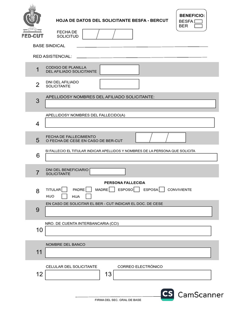 Formulario de Solicitud Besfa y Ber Cut | PDF