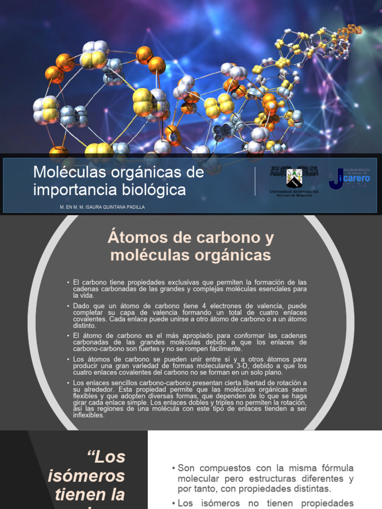 Moleculas Organicas | PDF