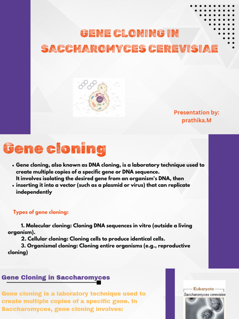 Gene Cloning S. Cerevisiae 1 PDF | PDF