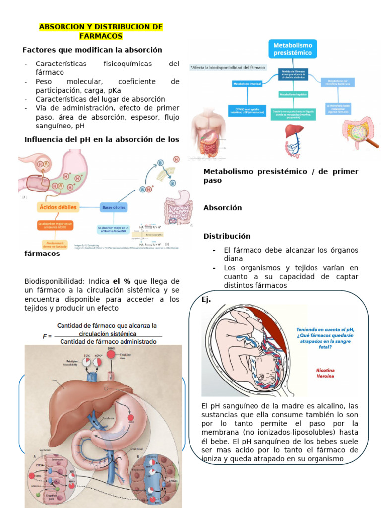 Absorcion Y Distribucion De Farmacos Pdf