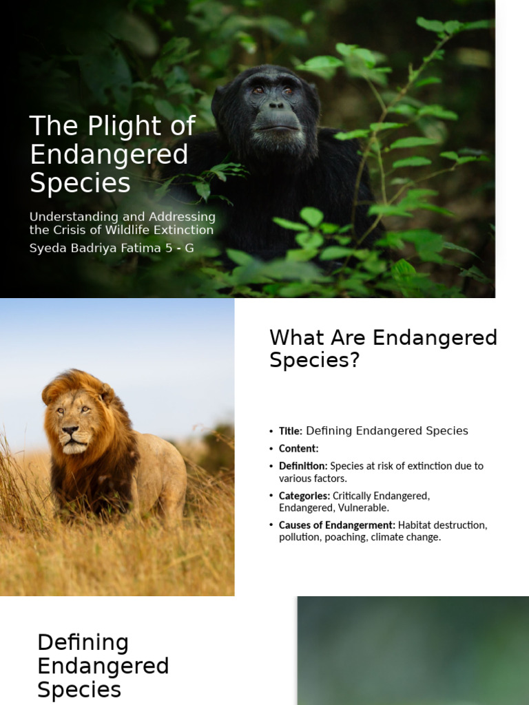 Endangered Species: Crisis & Solutions | PDF | Endangered Species ...