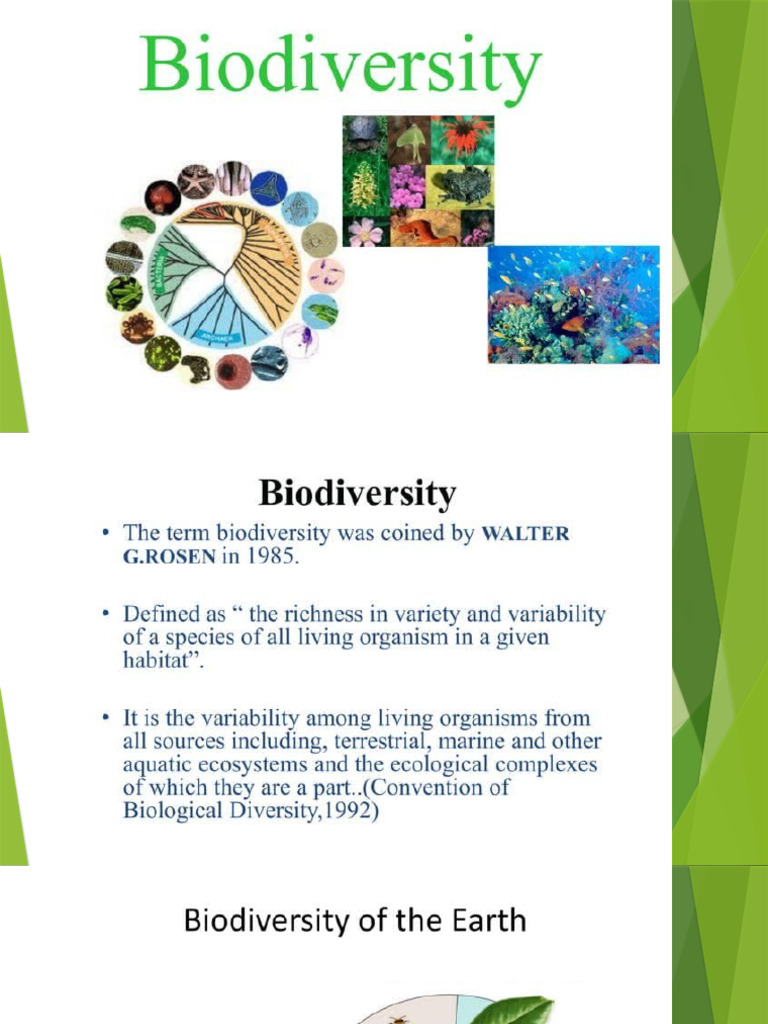 Biodiversity As A Mega Diversity | PDF