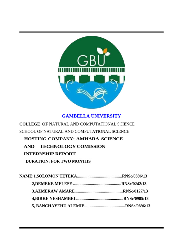 Internship Report | PDF | Computer Network | Computer Engineering