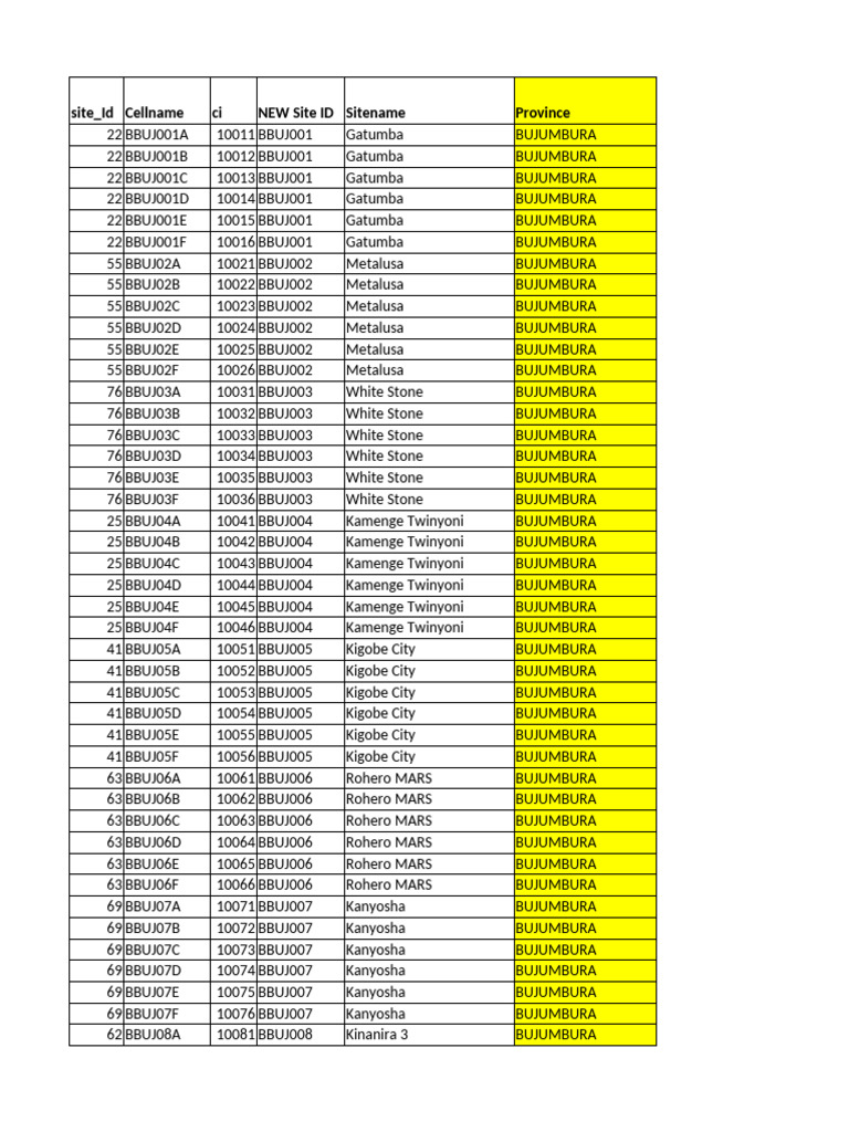 Binub site report pdf