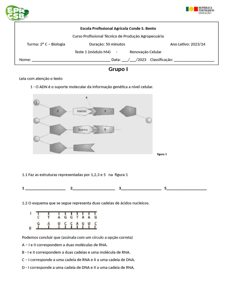 Ficha avaliação 2C | PDF