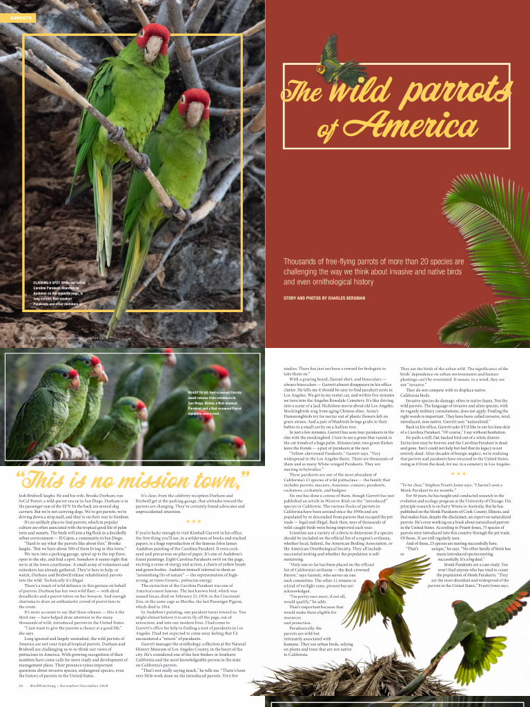 The WD Parrots Ofnorth America | PDF