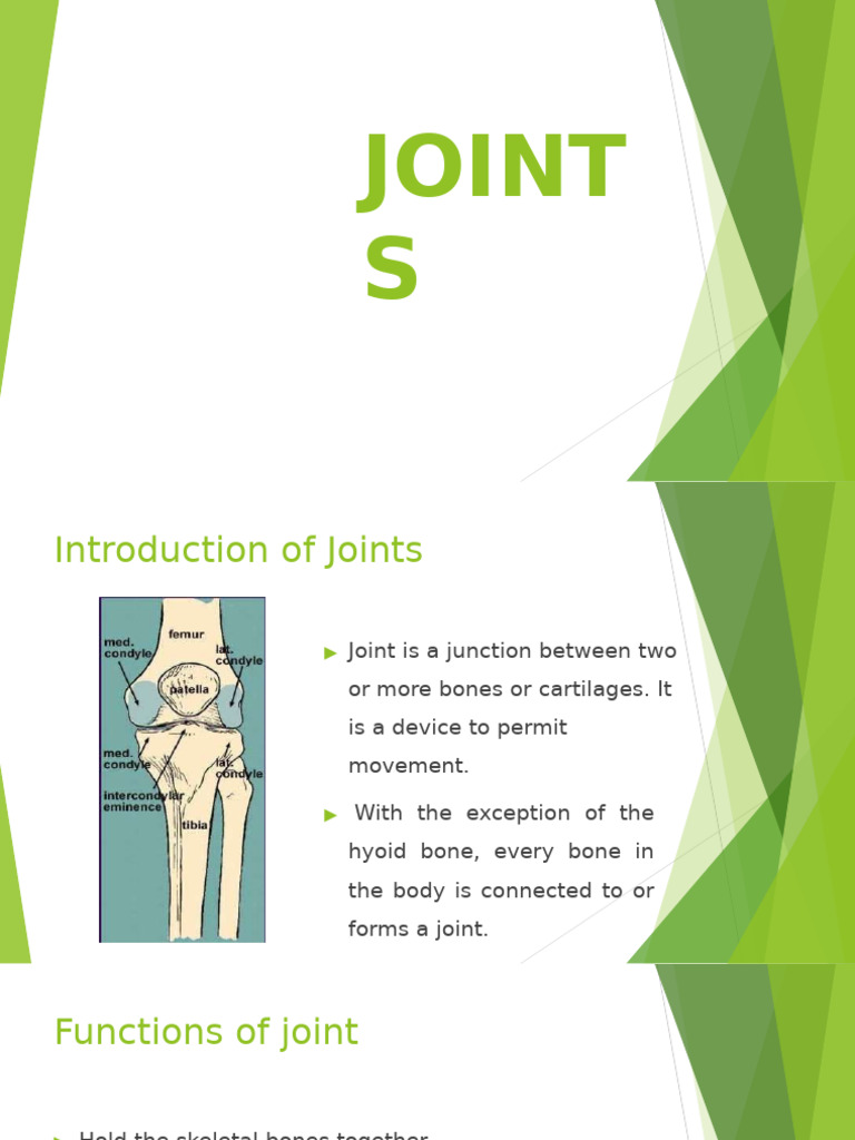 Joints | PDF