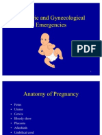 Obstetric &amp; Gynecological Emergencies