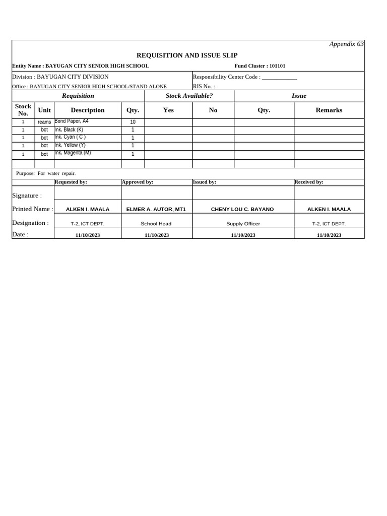 Ris Ict | PDF