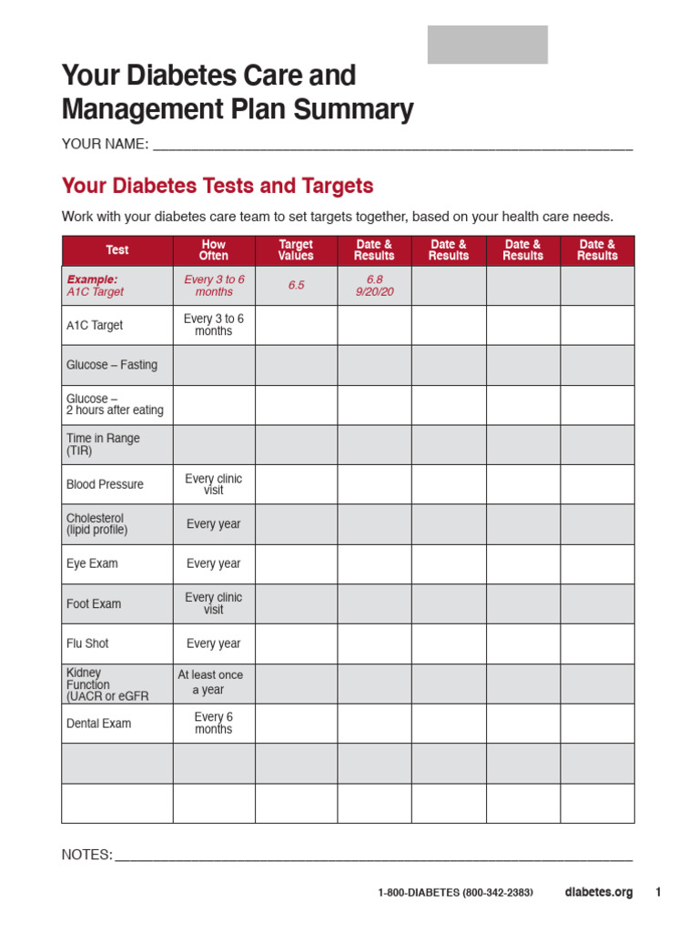 ADA Care Plan Summary Fillable Final PDF