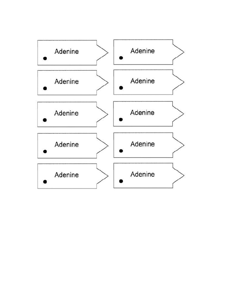 For-Printing DNA | PDF