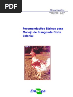 Manejo de Frangos Colonial Caipira