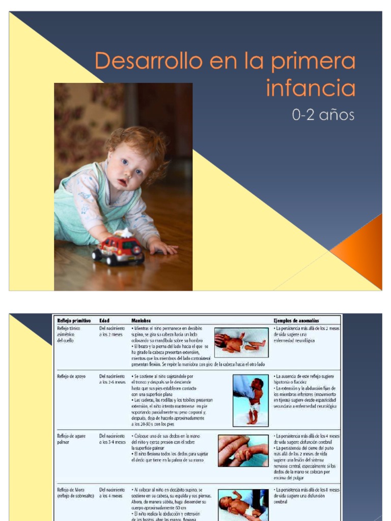 03 Desarrollo en La Primera Infancia | PDF | Teoría de apego | Temperamento
