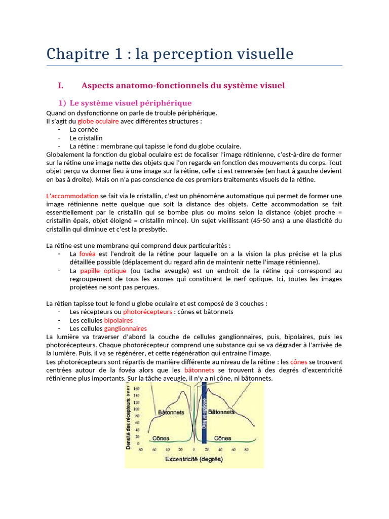Attention Perception | PDF | Visual Cortex | Brain