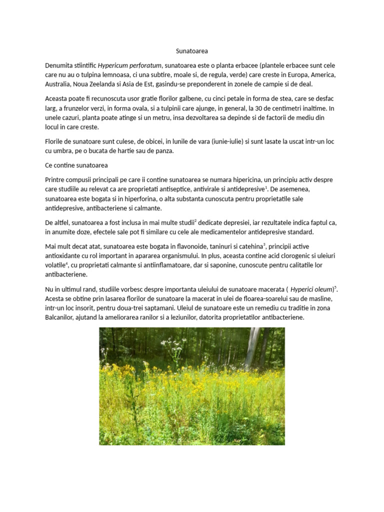 Sunatoarea | PDF