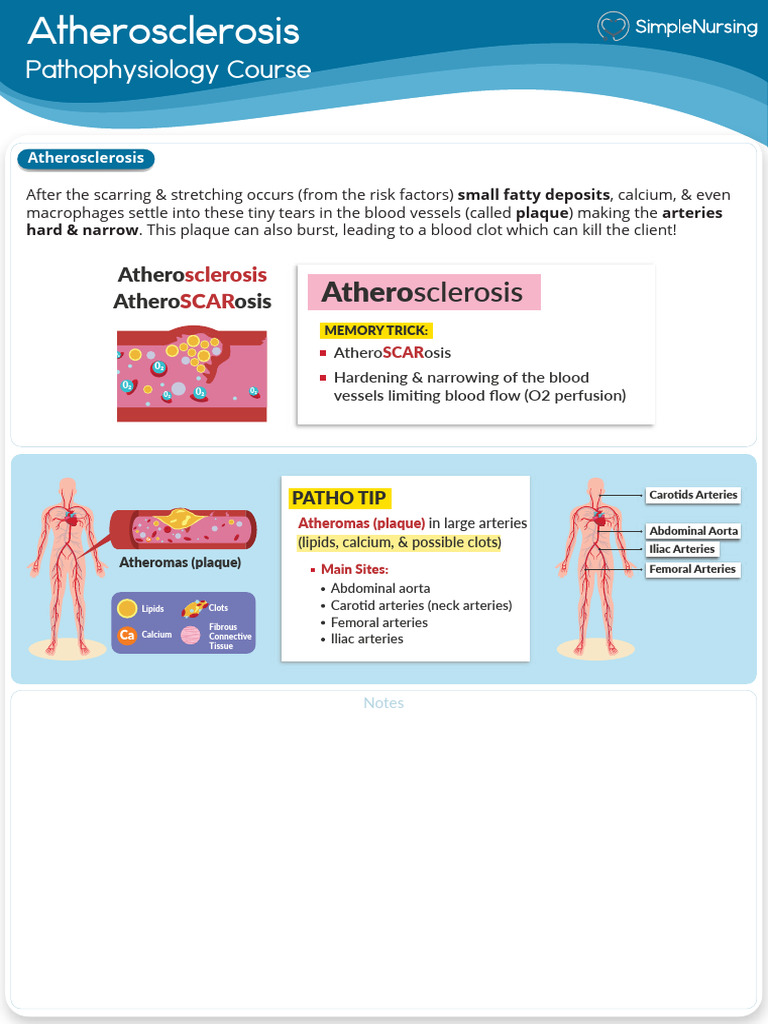 3 Atherosclerosis Pdf