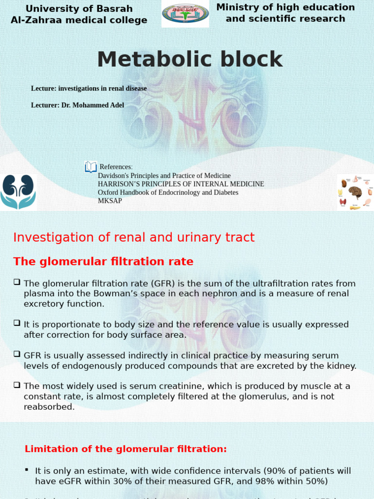 Investigation in Renal Disease | PDF