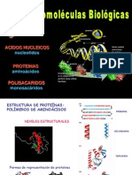 Tema II - Estructura de las proteínas (completo)