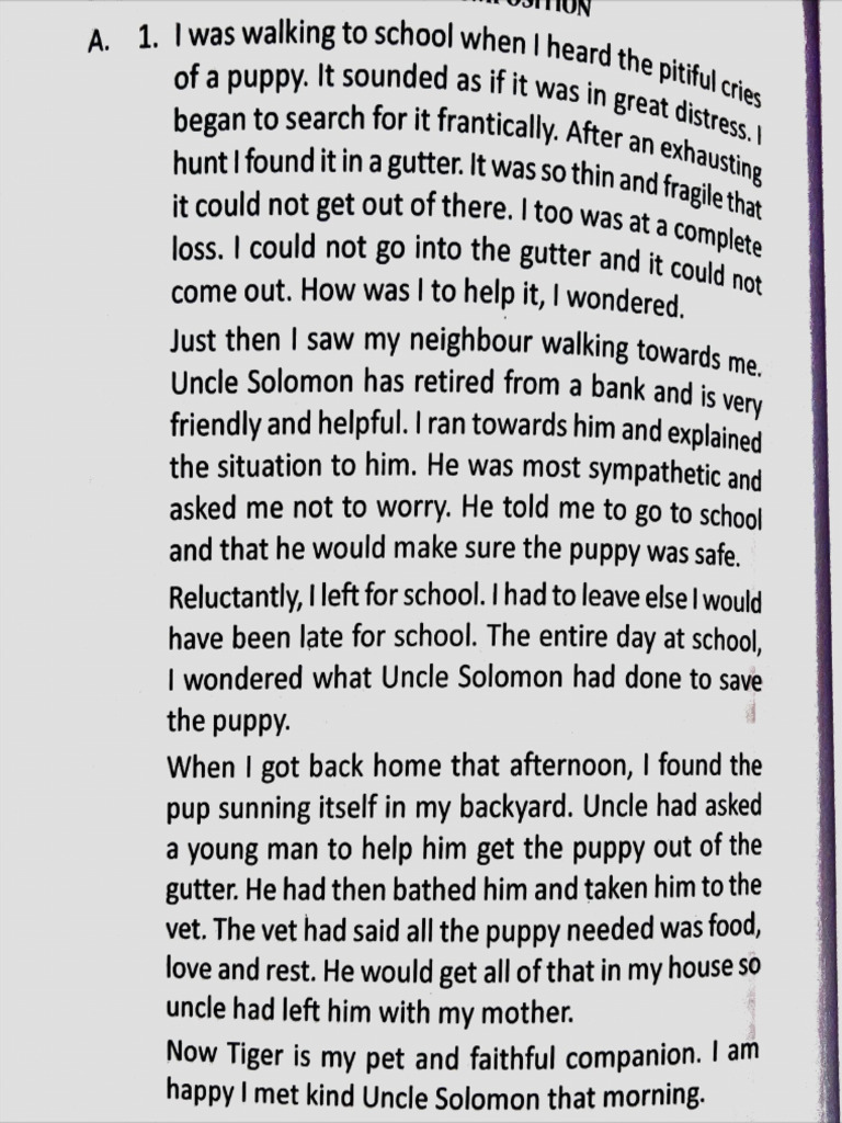 Narrative Composition Pdf