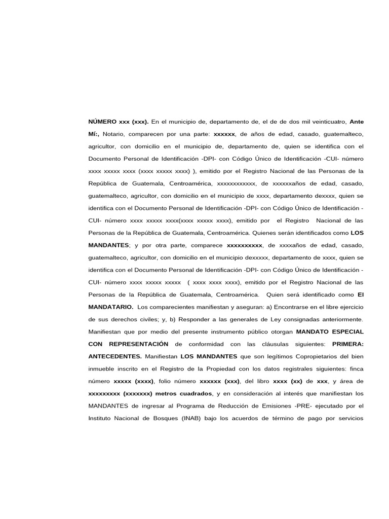 Minuta de Mandato | PDF