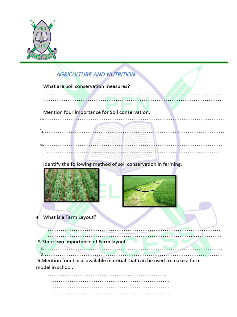 Grade 8 April 2024 Holiday Revision Booklet Set 2 | PDF