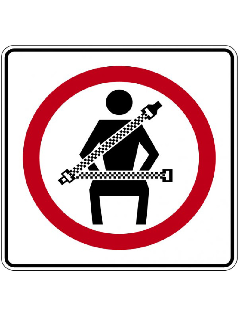 sinturon-de-seguridad-pdf