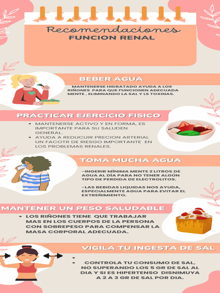 Infografia Riñon Tarea | PDF