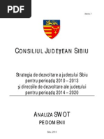Download Analiza SWOT SIBIU by Oana Brboi SN77561572 doc pdf