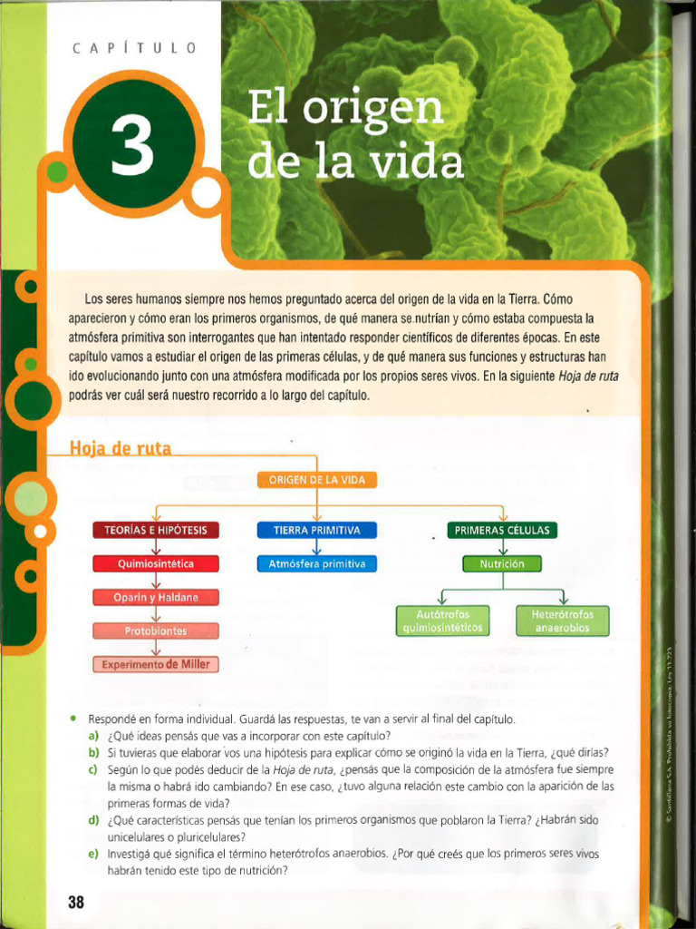 El Origen de La Vida | PDF