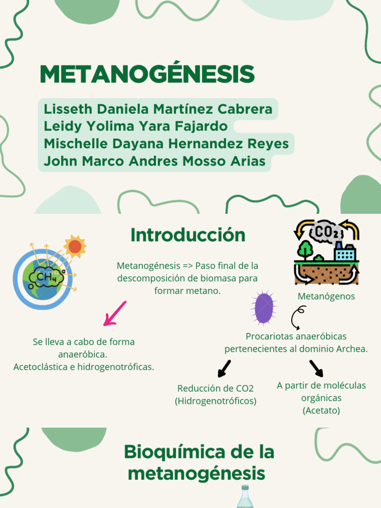 METANOGÉNESIS | PDF