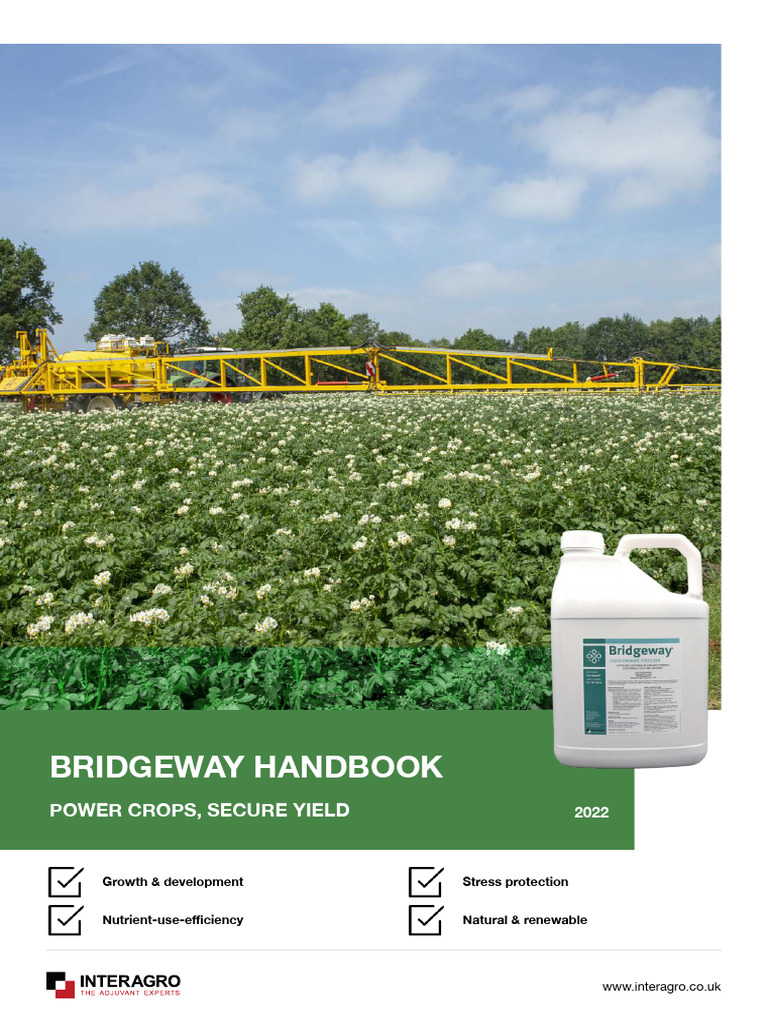 Bridgeway Handbook 2022 | PDF