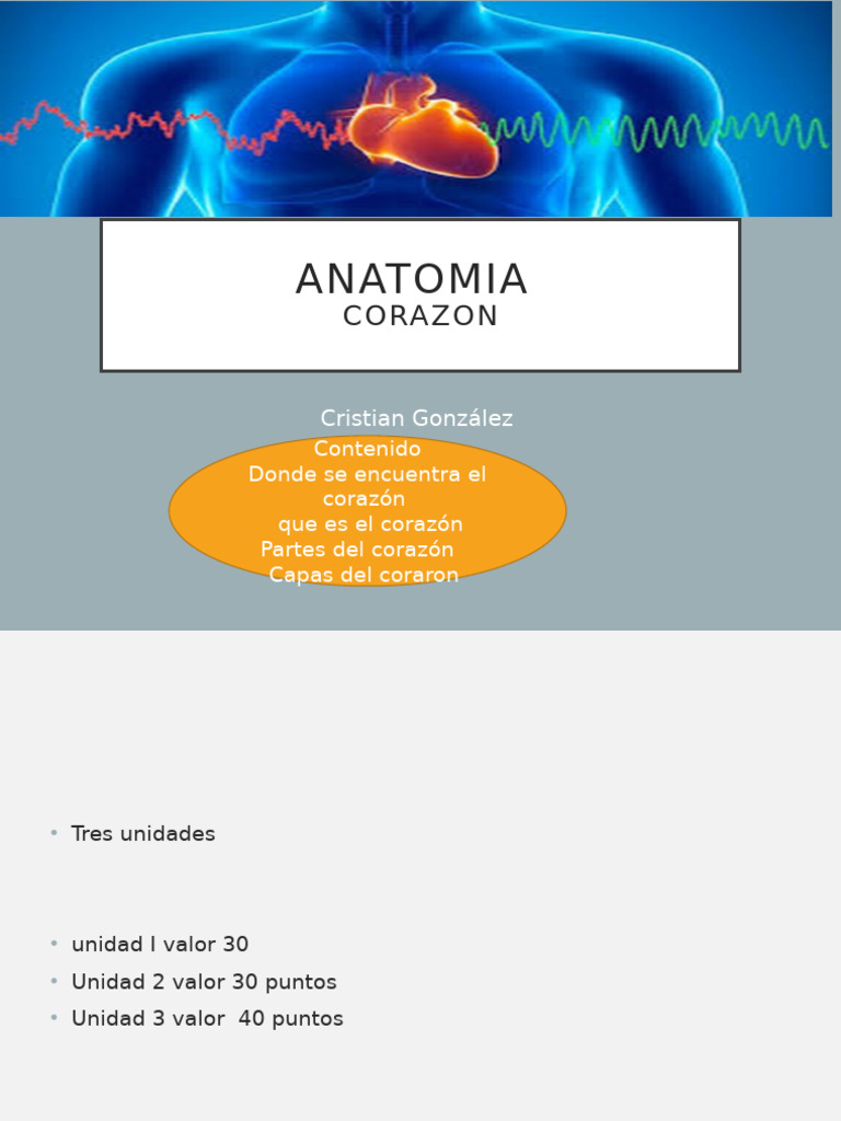 Class 1 2021anato pdf