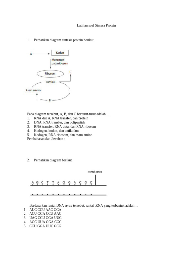 Latihan Soal Sintesa Protein | PDF