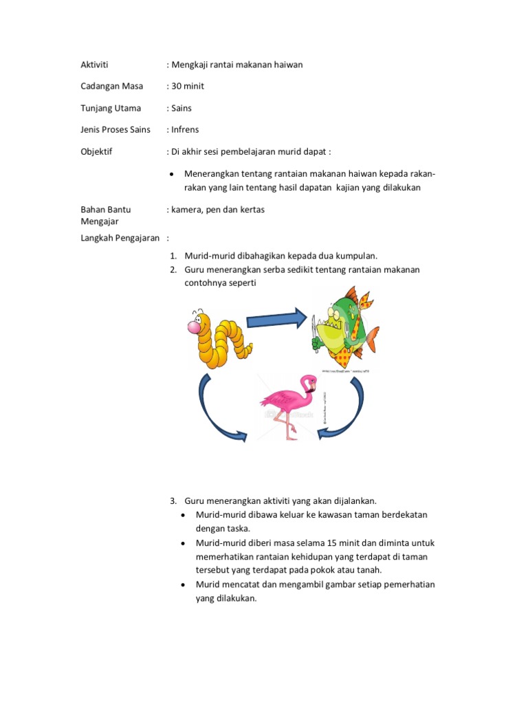 Aktiviti Rantai Makanan Pdf