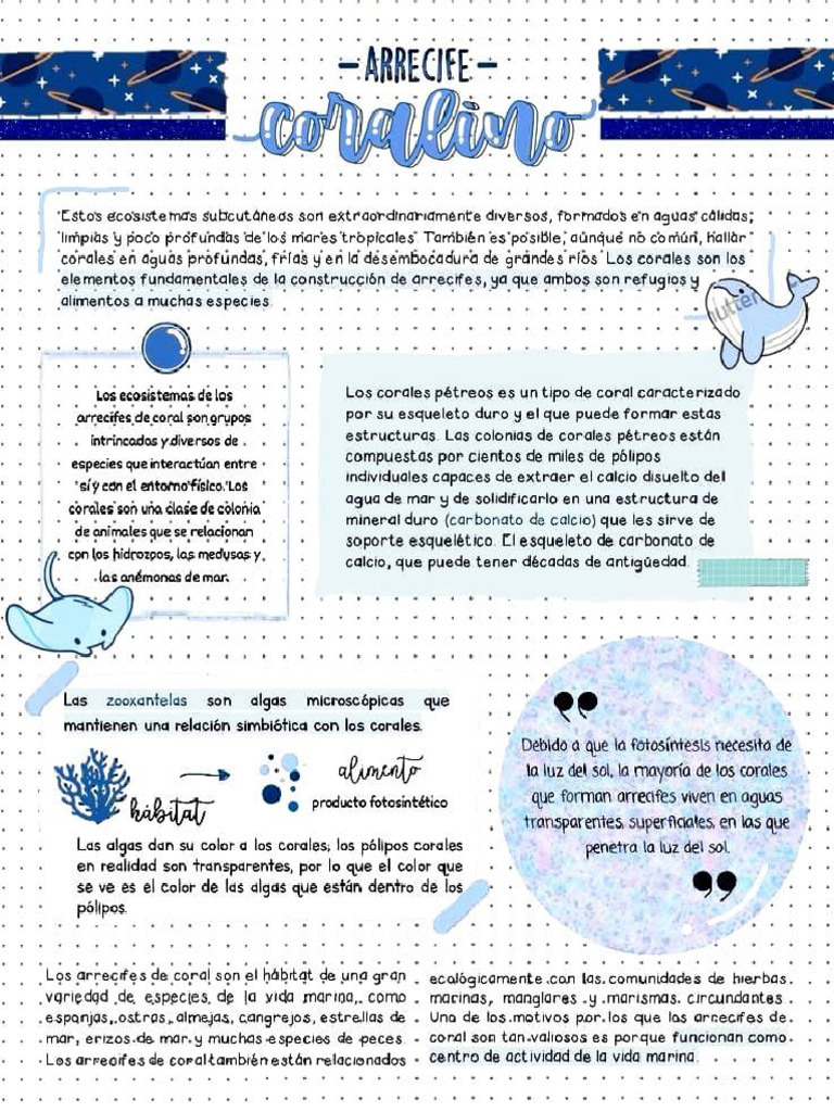 Adobe Scan 2 Oct 2024 | PDF